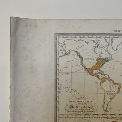 Grabado antiguo siglo XIX Distribución mundial de cultivos mundo Mapamundi 1858 – Marmocchi