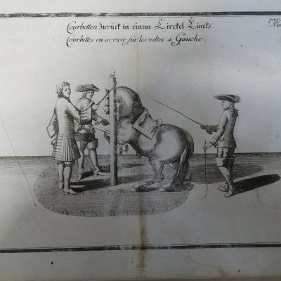 Grabado antiguo ecuestre caballos Siglo XVIII Abraham van Diepenbeek