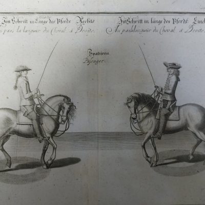 Grabado antiguo ecuestre caballos siglo XVIII Abraham van Diepenbeek